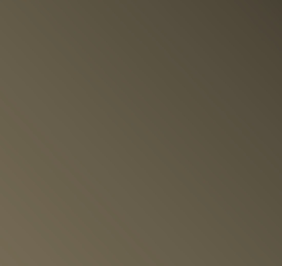 Mat_ Gris brun RAL 7013