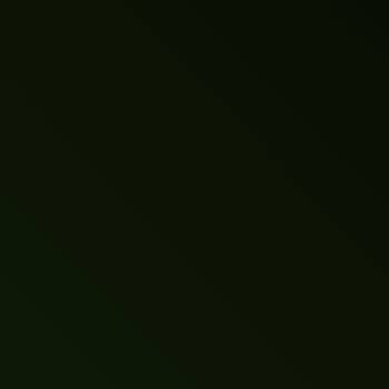 Brillant_ Noir RAL 9011