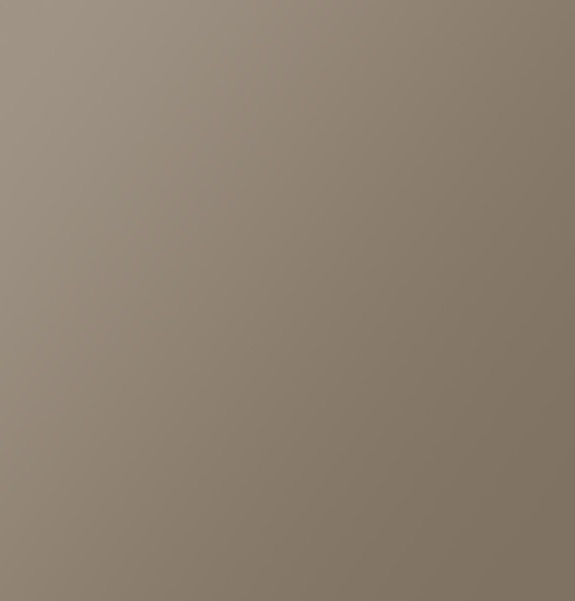 Brillant_ Gris beige RAL 7006