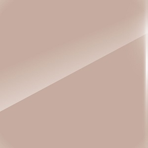 Glossy lacquered_ TE1