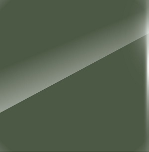 Glossy lacquered_ VE1