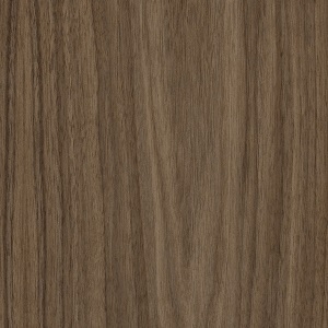 amerikanischer Nussbaum