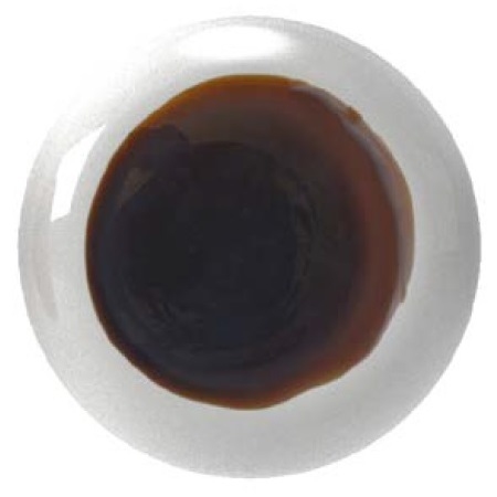 Haiku W_ Camisa blanca con mancha marrón