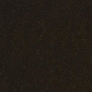 Cat. E Byram_ Express 391