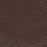 Venezia Leather_ 04 Brown