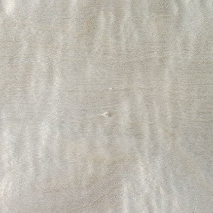 Sycamore frisè brillant