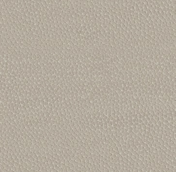 Cat. A_ Holly_ KPA.24