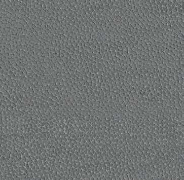 Cat. A_ Holly_ KPA.36