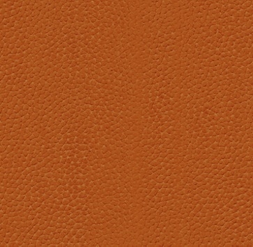 Cat. A_ Holly_ KPA.49