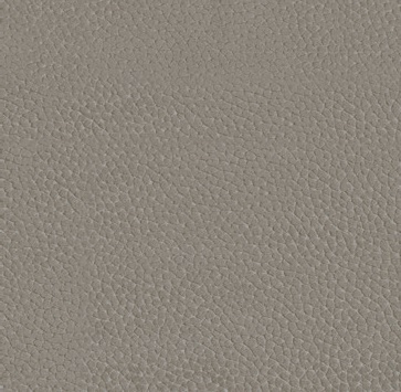 Cat. A_ Holly_ KPA.54