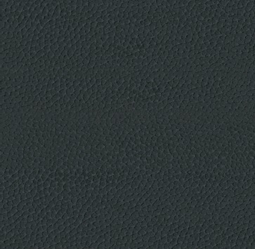 Cat. A_ Holly_ KPA.66