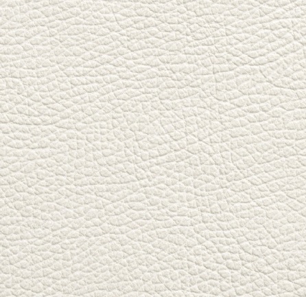 Cat. P01_ Leather Chloé_ KP.101