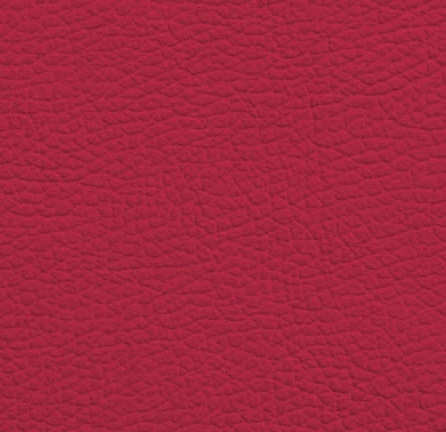 Cat. P01_ Leather Chloé_ KP.105