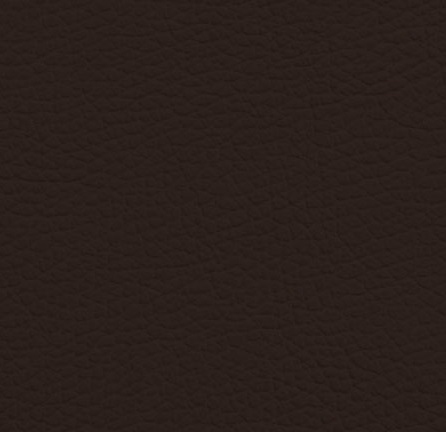 Cat. P01_ Leather Chloé_ KP.107