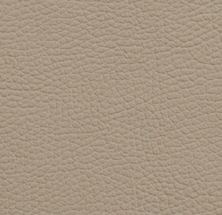 Cat. P01_ Leather Chloé_ KP.111