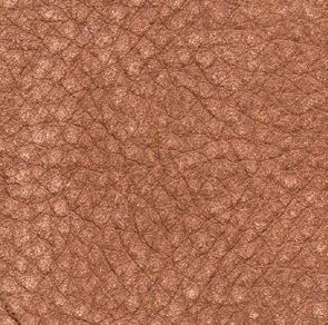 Cat. P02_ Leather Daisy_ KP.304