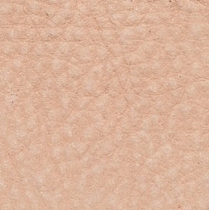 Cat. P02_ Leather Daisy_ KP.318