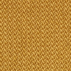 Cat. A_ Acteon_ 735 Yellow