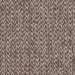 Cat. A_ Acteon_ 734 Bisquit