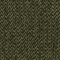 Cat. A_ Acteon_ 748 Lime