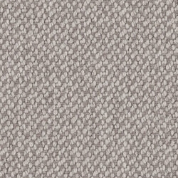 Cat. A_ Acteon_ 716 Light Gray