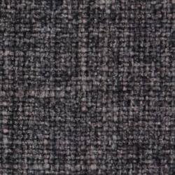 Cat. C_ Westralis_ 02