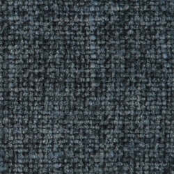 Cat. C_ Westralis_ 03