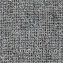 Cat. C_ Westralis_ 05