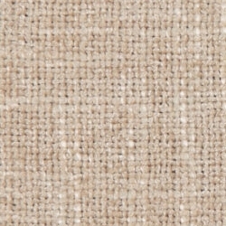 Cat. C_ Westralis_ 10