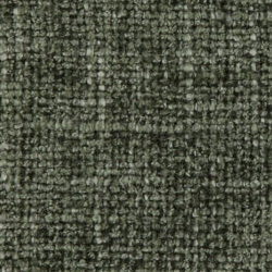 Cat. C_ Westralis_ 14