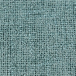 Cat. C_ Westralis_ 15