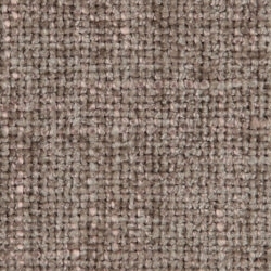 Cat. C_ Westralis_ 16