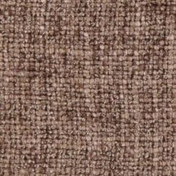 Cat. C_ Westralis_ 17