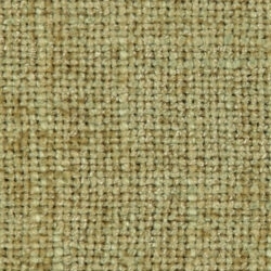 Cat. C_ Westralis_ 21