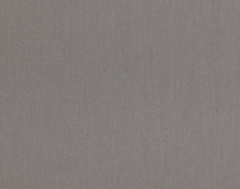 Cat. Z_ Zeus_ ZI 323