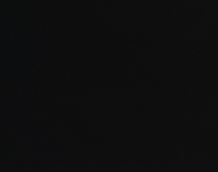 Cat. Z_ Zeus_ ZI 333