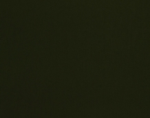 Cat. Z_ Zeus_ ZI 342