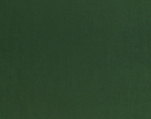 Cat. Z_ Zeus_ ZI 343