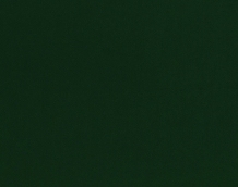 Cat. Z_ Zeus_ ZI 344