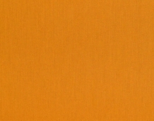 Cat. Z_ Zeus_ ZI 354