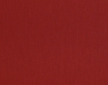 Cat. Z_ Zeus_ ZI 372