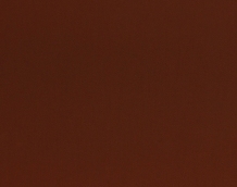 Cat. Z_ Zeus_ ZI 374