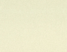 Cat. Z_ Zago_ ZI 410