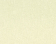 Cat. Z_ Zago_ ZI 411