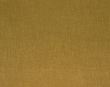 Cat. Z_ Zago_ ZI 451