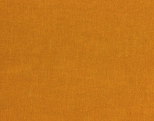 Cat. Z_ Zago_ ZI 454