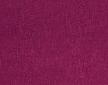 Cat. Z_ Zago_ ZI 478