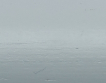 Mimbre_ Lacado lichene