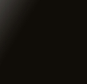 Laqué brillant_ Noir LL06