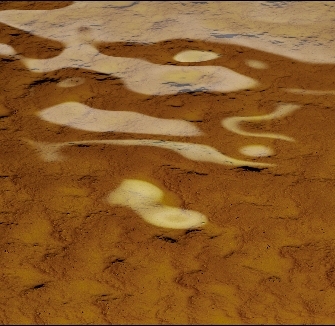 Cast crystal_ Mustard yellow VT19